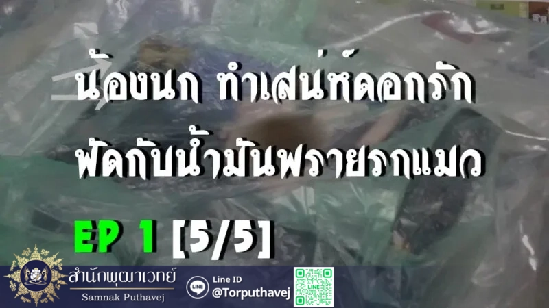 2 ทําเสน่ห์ทําเสน่ห์ใส่ผู้หญิงทําเสน่ห์ใ 1