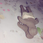 ใส่รูปหุ่น 6_0