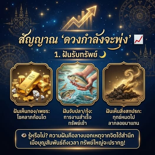 638669747 1366158805525510 2459148637172370801 n