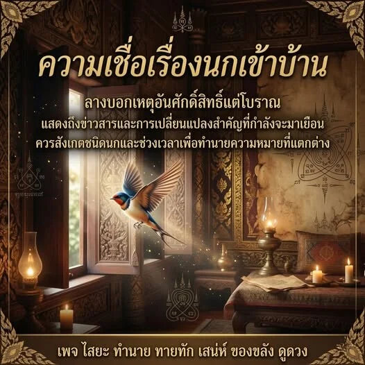 650381475 1383029300505127 6703842922966888173 n